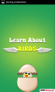 Learn Birds Name - Birds Picture & Sound screenshot 2