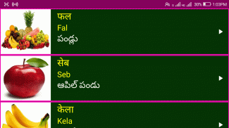 Learn Hindi from Telugu screenshot 0