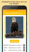 AvesID - Identifica aves screenshot 10