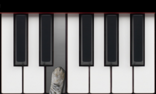 Cat Piano Memory Game screenshot 4