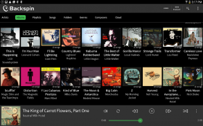 Backspin Music Player screenshot 9
