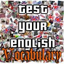 Test Your English Vocabulary Icon