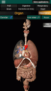 Inneren Organe 3D (Anatomie) screenshot 8