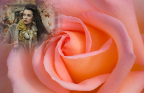 Macro Rose Photo Frame screenshot 3