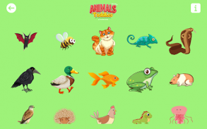 Animals Name Learning Toddles screenshot 13