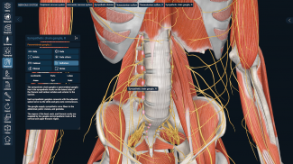 3D Organon screenshot 10