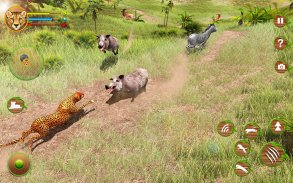 Cheetah Attack Simulator 3D Game Cheetah Sim screenshot 7