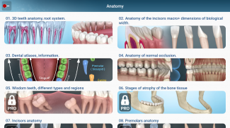 Dental 3D Illustrations screenshot 7