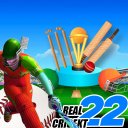 Real World Cup ICC Cricket T20