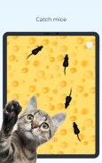 Meow - Jeux Jouet Pour Chat screenshot 11