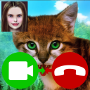 Cat Fake Video Call Icon