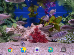 Aquarium 4K Live Wallpaper screenshot 8