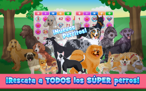 Trophy Bingo screenshot 13