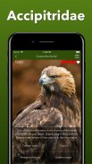 Animals Quiz - Learn All Mammals, Birds and more! screenshot 7