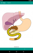 Obesity Treatments screenshot 13