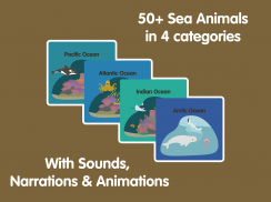 Learn Ocean Animals for kids screenshot 22