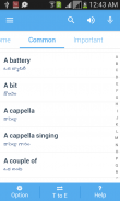 Telugu Dictionary Multifunctio screenshot 9