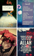 Islamic Quotes And DP screenshot 11