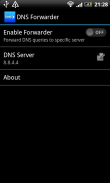 DNS forwarder screenshot 0