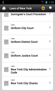 NY Laws 2021, New York Titles screenshot 1