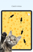 Meow - Cat Toy Games for Cats screenshot 20