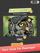 Eye Know: Image FX Word Quiz screenshot 5