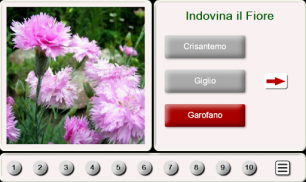 Indovina il Fiore: Puzzle Mattonelle screenshot 7