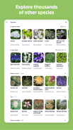 Flora Incognita - identificação de plantas screenshot 7