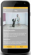 Dog and Puppy Training! exercises and tricks screenshot 10