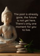 Motivation Daily Buddha Quotes screenshot 4