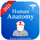 Human Anatomy Atlas - Anatomy Learning 2021 Icon