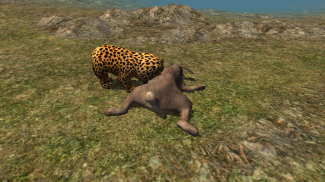 Real Cheetah Cub Simulator screenshot 4