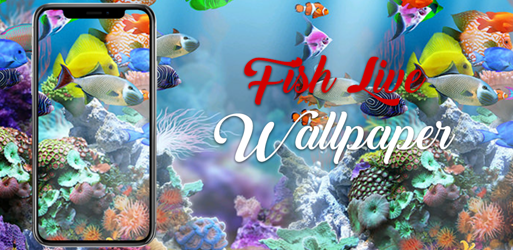 Red fish wallpaper photo – Free Fish Image on Unsplash