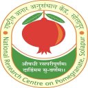 Solapur Anar Icon