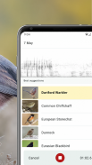 Merlin Bird ID by Cornell Lab screenshot 7