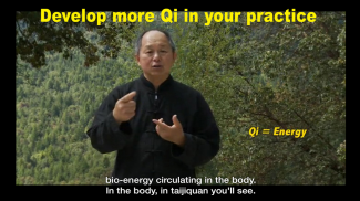 Yang Tai Chi for Beginners 1 by Dr. Yang screenshot 15