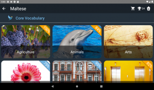 Maltese Language Tests screenshot 20