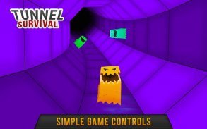 MULTI-COLORFUL TUNNEL: SURVIVAL OF THE FITTEST: screenshot 3