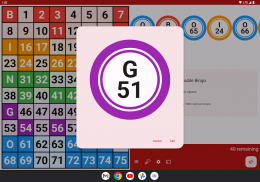 Bingo Caller screenshot 11