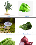 Health Benefits of Vegetables screenshot 1