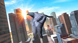 Wild Pigeon Bird City Simulator screenshot 4