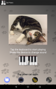 Cat Piano screenshot 3