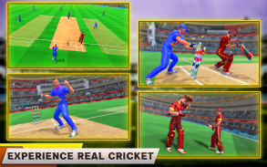 Indian Cricket League Game - T20 Cricket 2020 screenshot 20