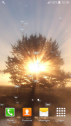 Latest Sunrise Live Wallpapers screenshot 5