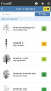 My Tree screenshot 1