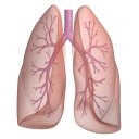 Asthma Tracker & Log (free)