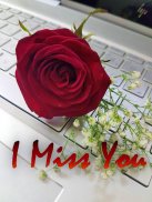 I Miss You : Sad Quotes & Love Messages and Gifs screenshot 4