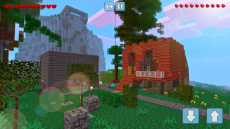 Block Craft World 3D screenshot 4