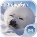 Cute Wallpaper Baby Seal Theme