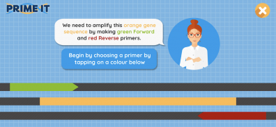 Prime It DNA Game screenshot 7